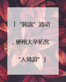 “韩流”涌动，郴州大举拓客“入境游”
