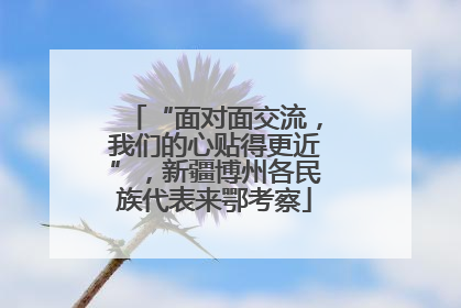 “面对面交流，我们的心贴得更近”，新疆博州各民族代表来鄂考察