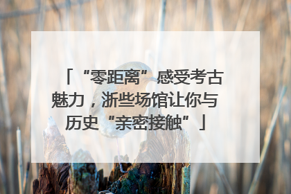 “零距离”感受考古魅力，浙些场馆让你与历史“亲密接触”