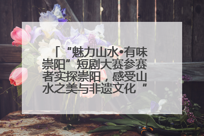 “魅力山水•有味崇阳”短剧大赛参赛者实探崇阳，感受山水之美与非遗文化“提琴戏”魅力