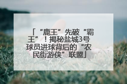 “鹿王”先破“霸王”！揭秘盐城3号球员进球背后的“农民街游侠”联盟