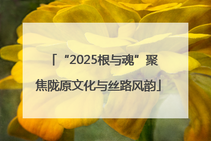 “2025根与魂”聚焦陇原文化与丝路风韵