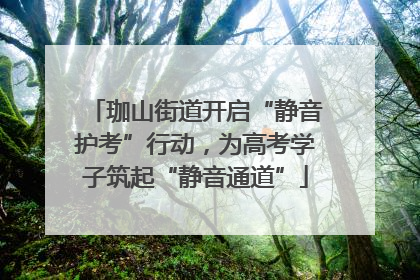 珈山街道开启“静音护考”行动，为高考学子筑起“静音通道”