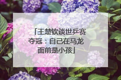 王楚钦谈世乒赛夺冠：自己在马龙面前是小孩