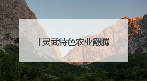 灵武特色农业翻腾振兴“致富浪”