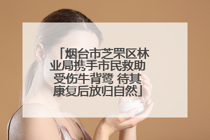 烟台市芝罘区林业局携手市民救助受伤牛背鹭 待其康复后放归自然