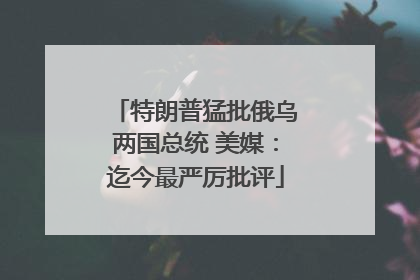 特朗普猛批俄乌两国总统 美媒：迄今最严厉批评