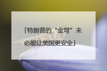 特朗普的“金穹”未必能让美国更安全