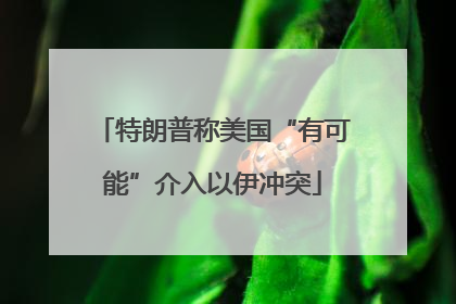 特朗普称美国“有可能”介入以伊冲突