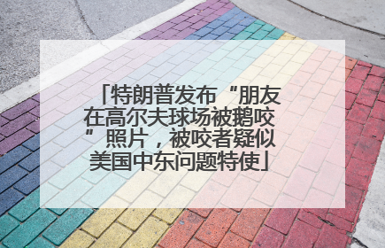 特朗普发布“朋友在高尔夫球场被鹅咬”照片，被咬者疑似美国中东问题特使