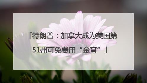 特朗普：加拿大成为美国第51州可免费用“金穹”