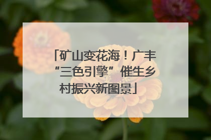 矿山变花海！广丰“三色引擎”催生乡村振兴新图景