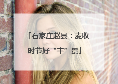 石家庄赵县：麦收时节好“丰”景