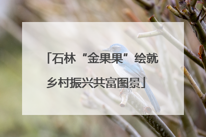 石林“金果果”绘就乡村振兴共富图景