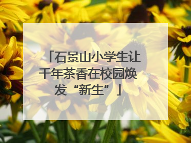 石景山小学生让千年茶香在校园焕发“新生”