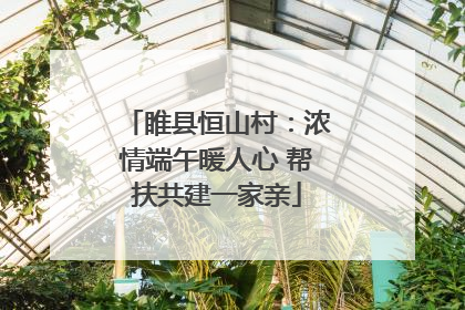 睢县恒山村：浓情端午暖人心 帮扶共建一家亲