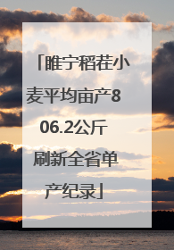 睢宁稻茬小麦平均亩产806.2公斤 刷新全省单产纪录