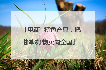 电商+特色产品，把邯郸好物卖向全国