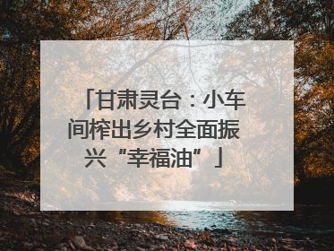 甘肃灵台：小车间榨出乡村全面振兴“幸福油”