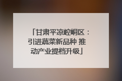 甘肃平凉崆峒区：引进蔬菜新品种 推动产业提档升级