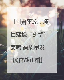 甘肃平凉：项目建设“引擎”轰鸣 高质量发展奋战正酣