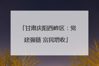甘肃庆阳西峰区：党建强链 富民增收