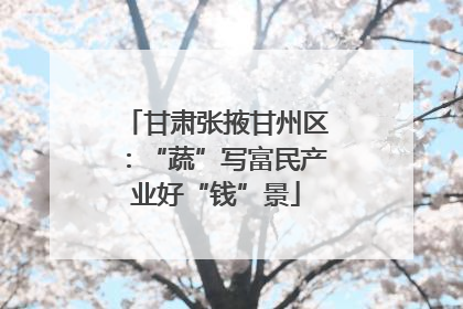 甘肃张掖甘州区：“蔬”写富民产业好“钱”景