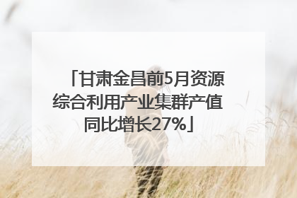 甘肃金昌前5月资源综合利用产业集群产值同比增长27%