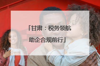甘肃：税务领航 助企合规前行