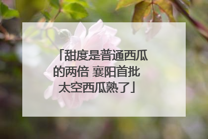 甜度是普通西瓜的两倍 襄阳首批太空西瓜熟了