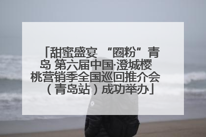 甜蜜盛宴 “圈粉”青岛 第六届中国·澄城樱桃营销季全国巡回推介会（青岛站）成功举办