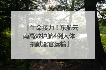 生命接力！东航云南高效护航4例人体捐献器官运输