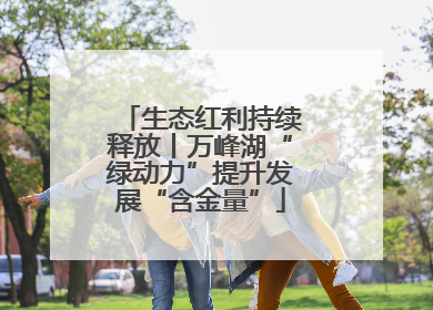 生态红利持续释放丨万峰湖“绿动力”提升发展“含金量”