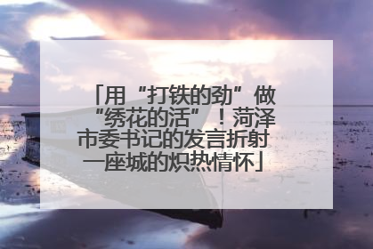 用“打铁的劲”做“绣花的活”！菏泽市委书记的发言折射一座城的炽热情怀