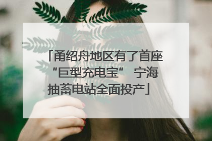 甬绍舟地区有了首座“巨型充电宝” 宁海抽蓄电站全面投产
