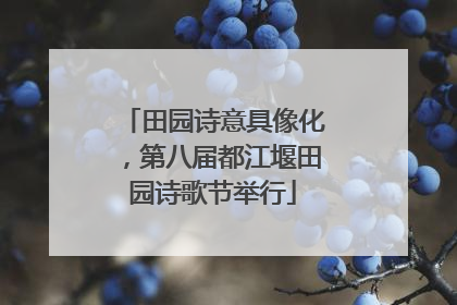 田园诗意具像化，第八届都江堰田园诗歌节举行