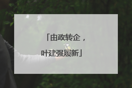 由政转企，叶建强履新