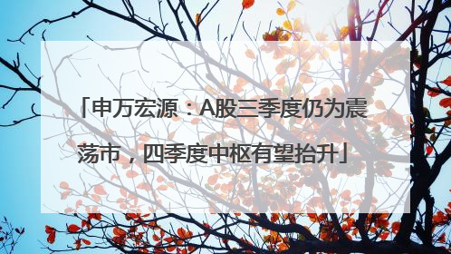 申万宏源：A股三季度仍为震荡市，四季度中枢有望抬升