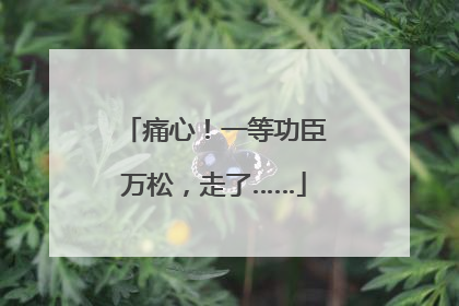 痛心！一等功臣万松，走了……