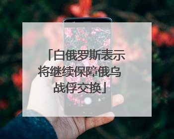 白俄罗斯表示将继续保障俄乌战俘交换
