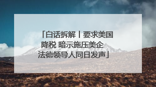 白话拆解丨要求美国降税 暗示施压美企 法德领导人同日发声