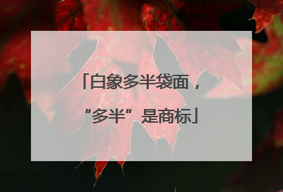白象多半袋面，“多半”是商标