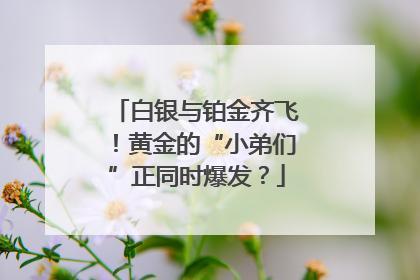 白银与铂金齐飞！黄金的“小弟们”正同时爆发？