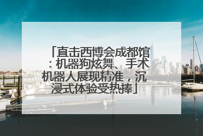 直击西博会成都馆：机器狗炫舞、手术机器人展现精准，沉浸式体验受热捧