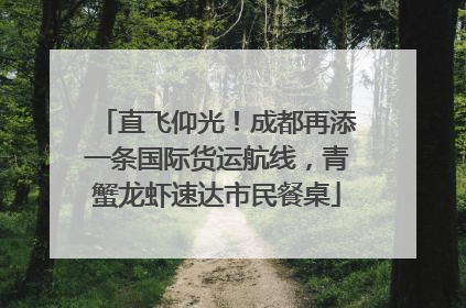 直飞仰光！成都再添一条国际货运航线，青蟹龙虾速达市民餐桌