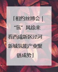 相约丝博会｜“氢”风徐来 看西咸新区泾河新城氢能产业聚链成势