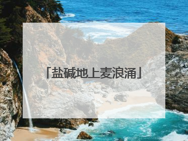盐碱地上麦浪涌