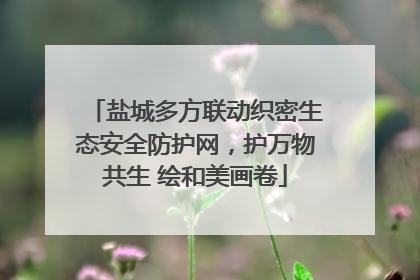 盐城多方联动织密生态安全防护网，护万物共生 绘和美画卷
