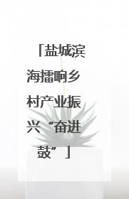 盐城滨海擂响乡村产业振兴“奋进鼓”
