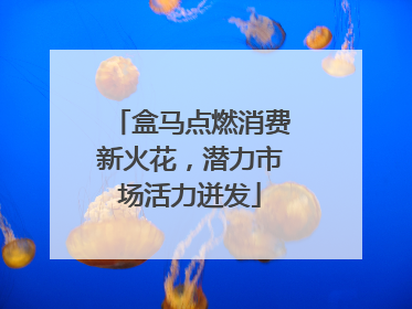 盒马点燃消费新火花，潜力市场活力迸发